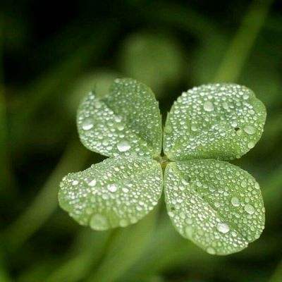 开玩棋牌下载手机版截图